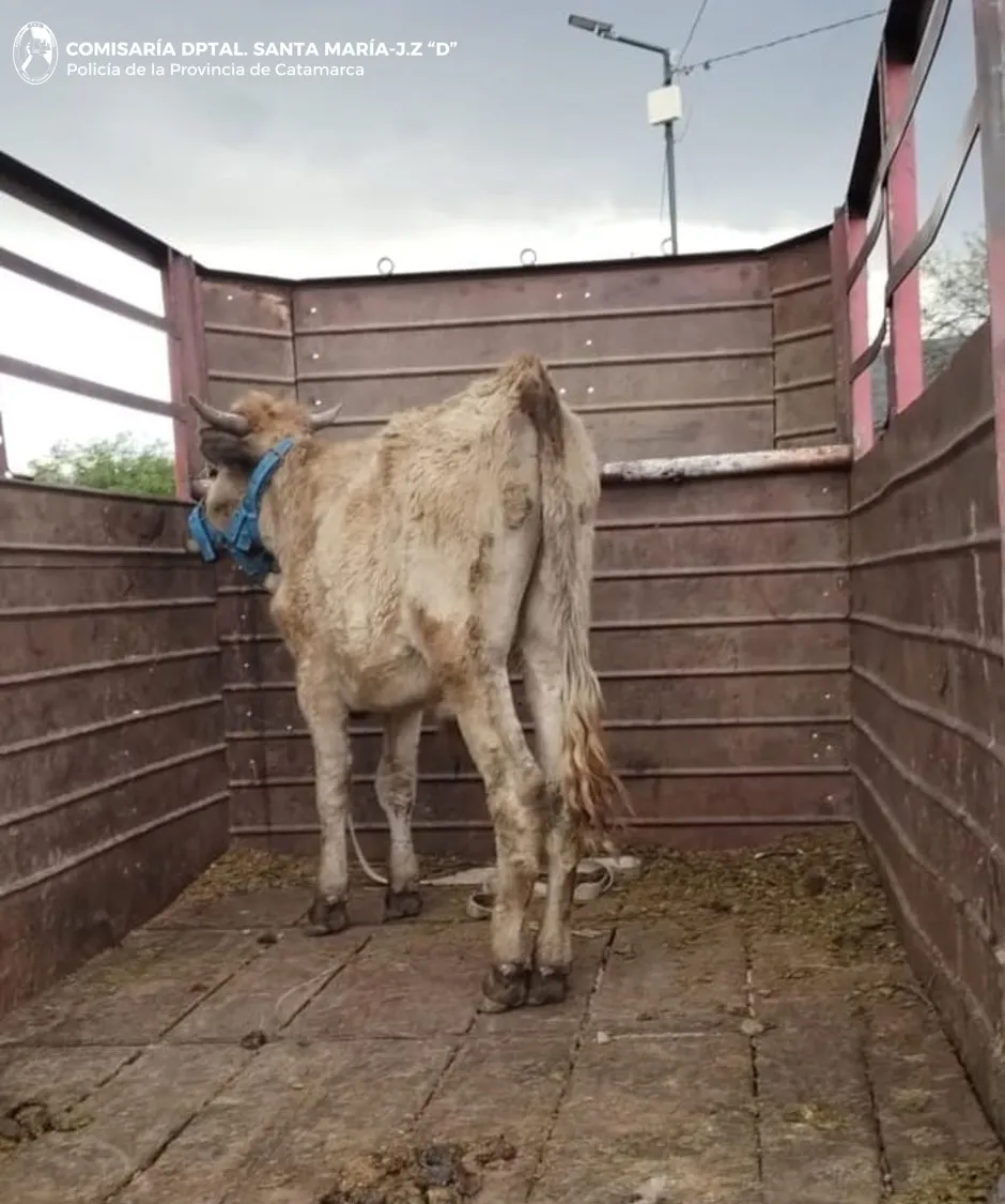 CRIA_ DPTAL_ SANTA MARIA_