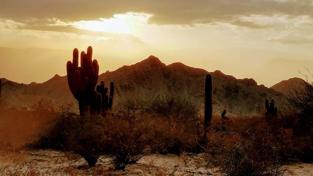 119919334_3532939373423313_1257572689129516154_n